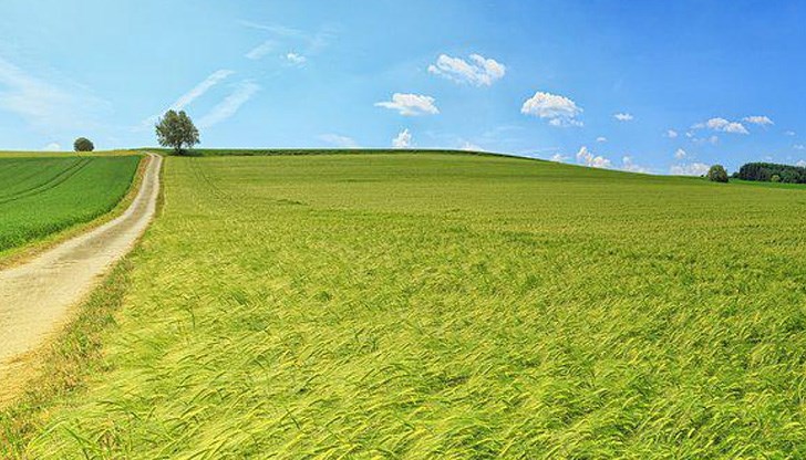 Само 4.62% от страната ни представляват градове и села