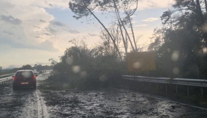 Силните пориви на ураганния вятър на места са достигнали до 100 км/ч.