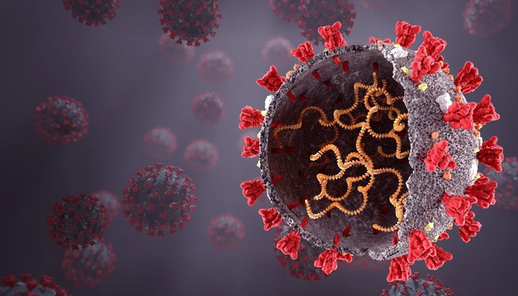 За първи път у нас е установен случай на подвариант на досегашните Омикрон варианти на COVID-19