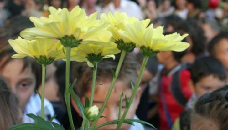 Близо 717 000 са всички ученици, които ще се обучават през новата 2022/2023 учебна година