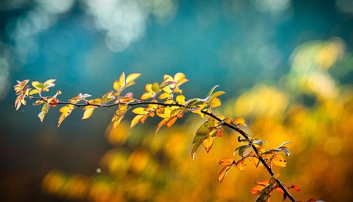 Какво време ни очаква през седмицата Какво време ни очаква през седмицата