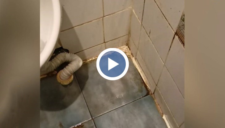 В банята има мухъл и влага, в стаята имало паяци и паяжини, а на терасата мазилката падала