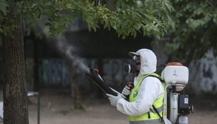 Една от асоциациите на оператори срещу насекоми – вредители е сигнализирала здравното министерство