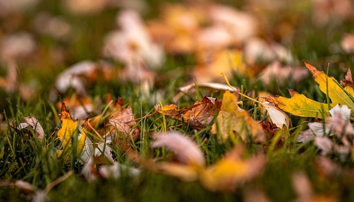 Къде ще вали? Къде ще вали?