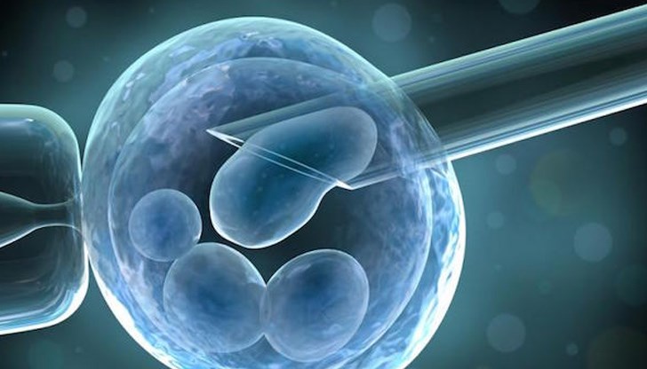 Той е развил наченки на мозък и биещо сърце