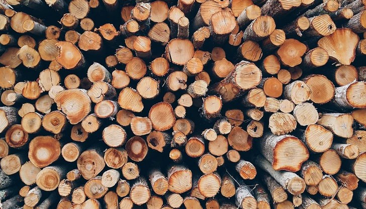 Проверката е показала, че количествата са без контролна горска марка, няма за тях издаден превозен билет и необходимите документи Проверката е показала, че количествата са без контролна горска марка, няма за тях издаден превозен билет и необходимите документи