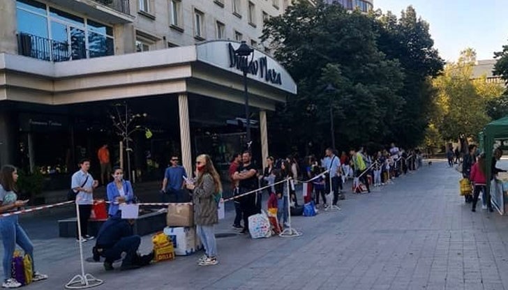 Децата в Русе спасиха от изсичане 135 дървета Децата в Русе спасиха от изсичане 135 дървета