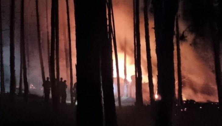 Запалила се е постройка в боровата гора. Според непотвърдена информация в къщата са живеели няколко души