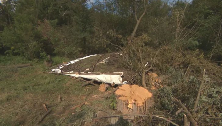 Ние сме напът да останем без нито едно дърво. Тука вече спокойно да кажем, че гората е на 50% унищожена, заяви кметът на село Бреница