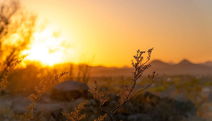 Днес времето ще е слънчево и топлоПрез деня ще е