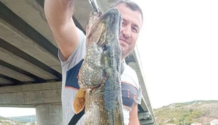 Рибата тежи 4 килограма42-годишният Мехмет Хасан от Джебел хвана 4-килограмова