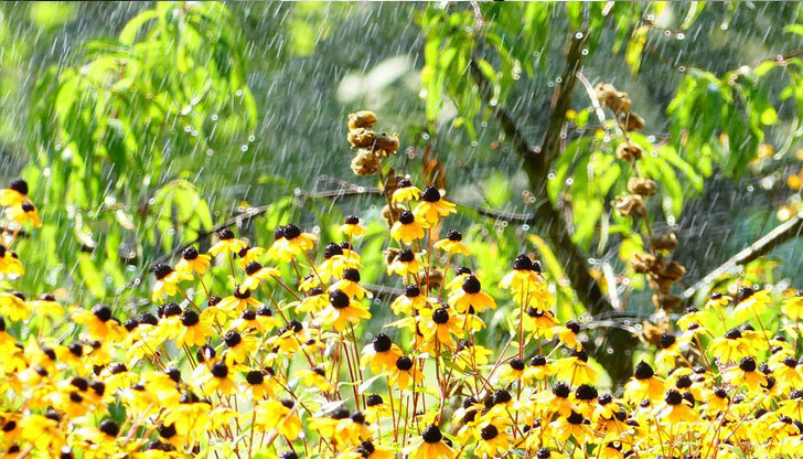 Очакваме валежи от сняг по планините, а по високите полета