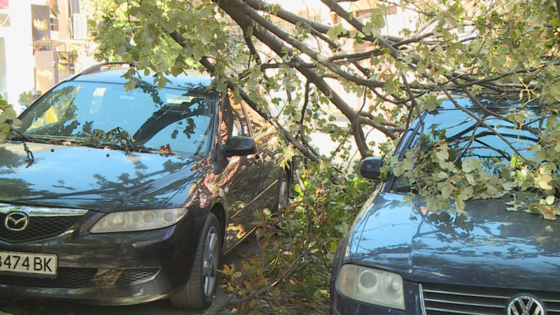 Част от село Бъзън е без токВятър с пориви от
