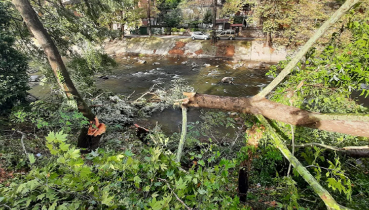 Според очевидци всичко станало за секундиНевиждана вихрушка връхлетяла снощи село