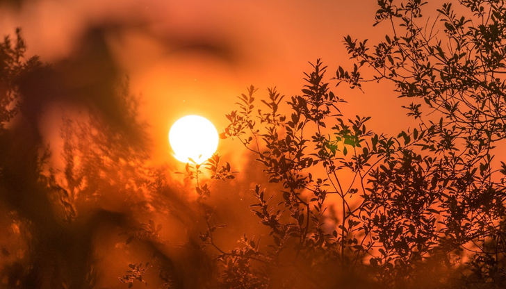 Времето ще бъде предимно слънчево и топлоМежду 12 и 16