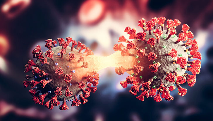 Активните случаи в страната намаляват и към днешна дата са 11