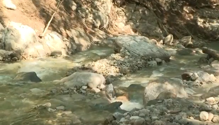 За мощта на стихията може да се съди по кората