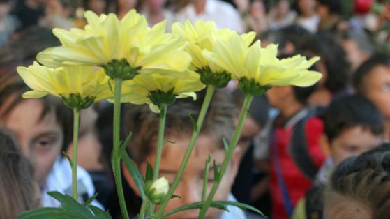 Очаква се над 57 000 първокласници да тръгнат на училище