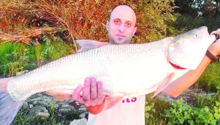 Екшънът се е разиграл край село Пиргово в топлата вечер на 7 септемвриГолям екшън