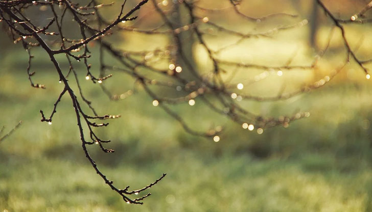 Температурите ще са почти без промяна, но към вечерта в събота