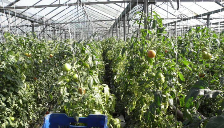 До 5 години на трапезата ни може да няма български