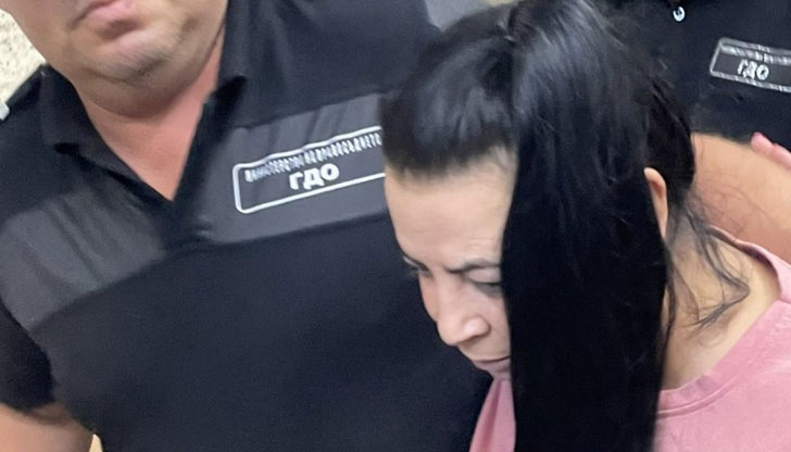 Районният съд в Пловдив решава дали да остави за постоянно