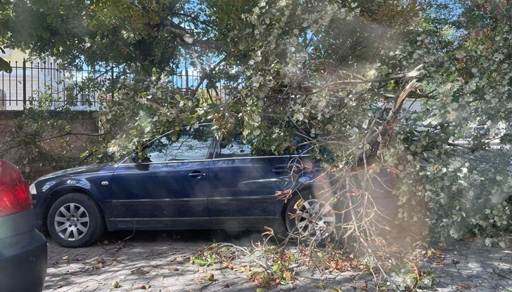 Инцидентът е вследствие на силния вятър, който духа днес в