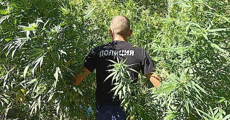 Двама са задържани в РУ - Шумен. Над 17 кг