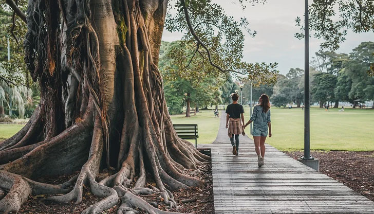 До края на седмицата ще е сравнително топло, на места