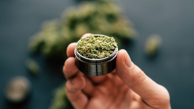 Бързо производство за държане на наркотици е започнато в РУ