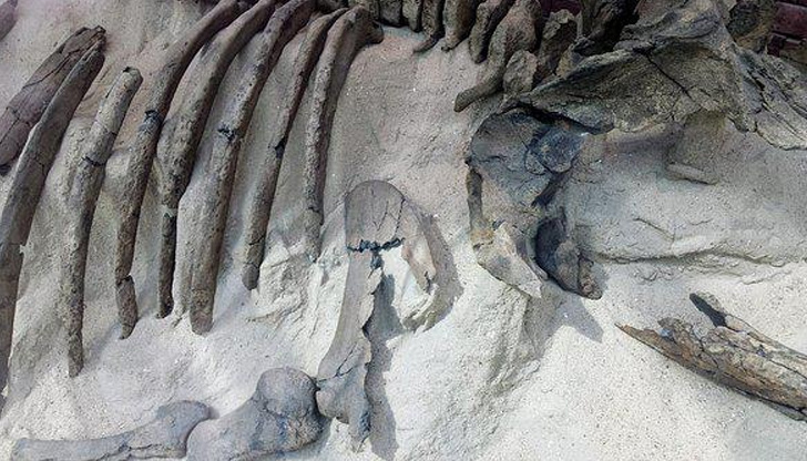 Праисторическата операция може да е доказателство, че хората са развивали