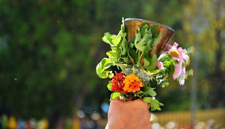 Първият учебен ден е най-вълнуващият ден за българското училище, особено