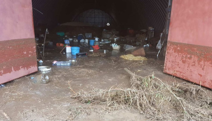 Дарителска сметка е разкрита в помощ на животновъдите от село Червена