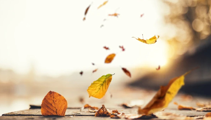 Дневните температури още ще се повишат и максималните ще са