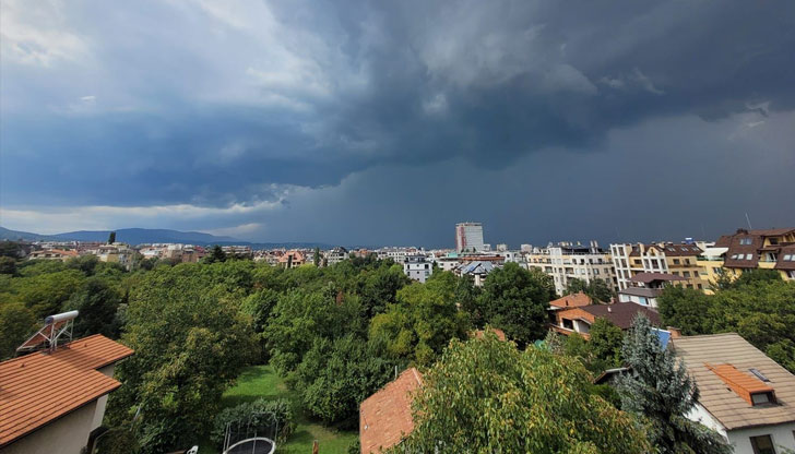 Дърво е било ударено от гръм в Борисовата градина по