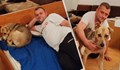Кученцето пред парламента си намери стопанин