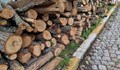 Зачестяват кражбите на дърва и въглища в малките населени места в Русенско