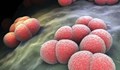 Двама души са починали от бактериален менингит във Варна