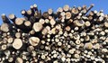 Установиха два случая на незаконна дървесина в Сливо поле