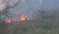 Над 100 души гасят пожара между две варненски села, който се активира отново