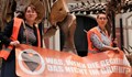 Екоактивисти се залепиха за скелет на динозавър в Берлин