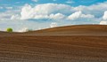 Земеделските земи в Русенско се търгуват по 1300 лева за декар