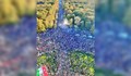 80 000 души в Берлин показаха солидарност с протестите в Иран