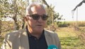 Кралят на ябълките Красимир Кумчев: Започвам да изкоренявам ябълкова си градина