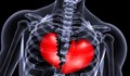 6 неща в тялото, които се променят, когато някой ни разбие сърцето