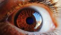 Сингапурски учени разработиха гел за предпазване на ретината от белези