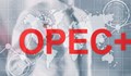 Петролният картел "ОПЕК +" съкращава производството с 2 милиона барела на ден