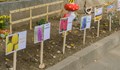 Деца посадиха ботаническа градина в двора на ДГ „Слънце“