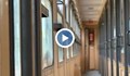 Нашествие на дървеници във влаковете на БДЖ