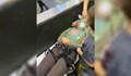 Дете е с потрошена ръка след падане от 5-метрова стена за катерене в столичен мол